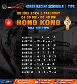 HORSE RACING SCHEDULE TIPS copy 2.jpg