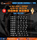 HORSE RACING SCHEDULE TIPS copy 2.jpg