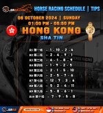 HORSE RACING SCHEDULE TIPS copy 2.jpg