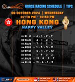 HORSE RACING SCHEDULE TIPS copy 2.jpg