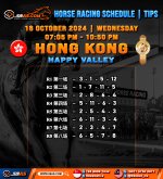 HORSE RACING SCHEDULE TIPS copy 2.jpg