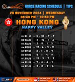 HORSE RACING SCHEDULE TIPS copy 2.jpg