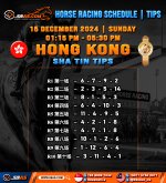 HORSE RACING SCHEDULE TIPS copy 2.jpg