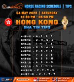 HORSE RACING SCHEDULE TIPS copy 2.jpg