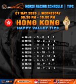 HORSE RACING SCHEDULE TIPS copy 2.jpg