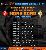 HORSE RACING SCHEDULE TIPS copy 2.jpg