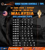 HORSE RACING SCHEDULE TIPS copy 2.jpg