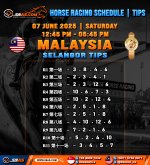 HORSE RACING SCHEDULE TIPS HONGKONG.jpg