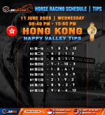 HORSE RACING SCHEDULE TIPS copy 2.jpg