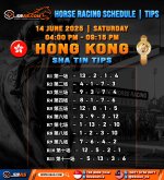 HORSE RACING SCHEDULE TIPS copy 2.jpg