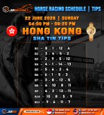 HORSE RACING SCHEDULE TIPS copy 2.jpg