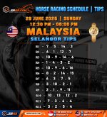 HORSE RACING SCHEDULE TIPS copy 2.jpg