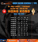 HORSE RACE ENTRO HONG KONG.jpg
