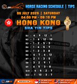 HORSE RACING SCHEDULE TIPS copy 2.jpg