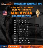 HORSE RACING SCHEDULE TIPS HONGKONG.jpg