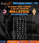 HORSE RACING SCHEDULE TIPS HONGKONG.jpg