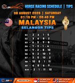 HORSE RACING SCHEDULE TIPS HONGKONG.jpg