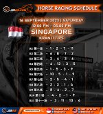 HORSE RACING SCHEDULE TIPS SINGAPORE copy.jpg HORSE RACING SCHEDULE TIPS SINGAPORE copy.jpg