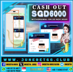 1700811841099.png