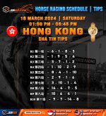 HORSE RACING SCHEDULE TIPS HONGKONG.jpg