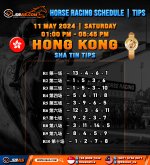 HORSE RACING SCHEDULE TIPS HONGKONG.jpg